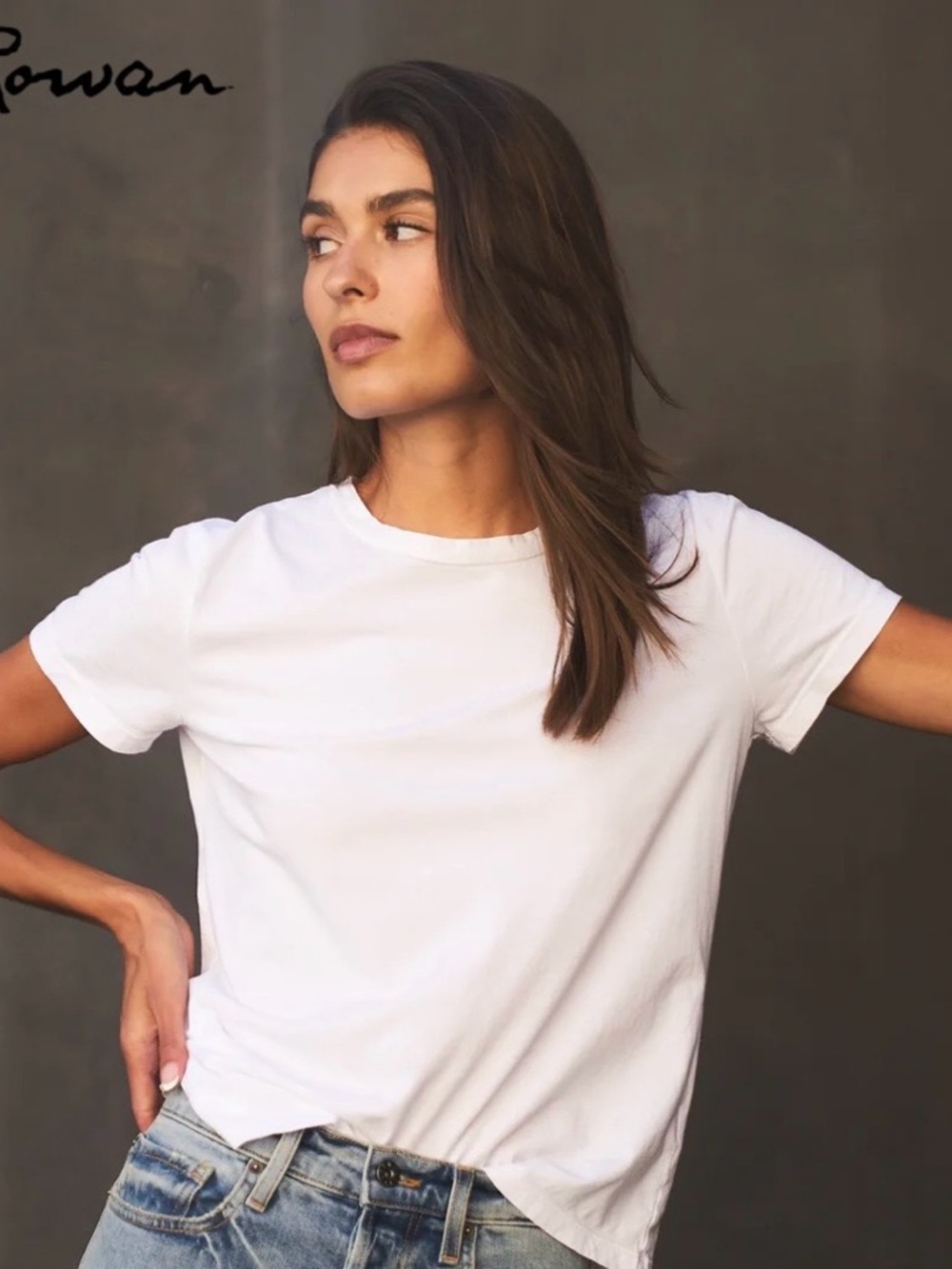 NWOT Rowan Tyler sub tee